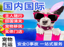 若羌楼兰航空运输国际宠物托运 【国